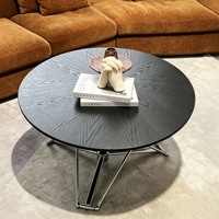 Table basse ronde en bois de style moderne minimaliste, plateau noir, salon, meubles multifonctionnels, design en acier inoxydable