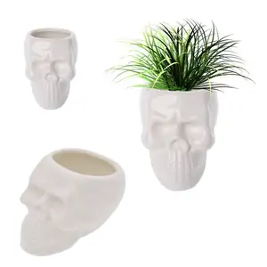 Keramische Schedel Set Van 2 Moderne Schedel Witte Keramische Succulente Planter Potten/2 Inch Bloem Plant Containers Plant Venster doos