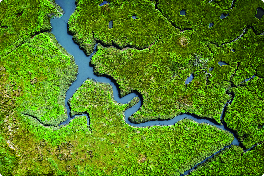 Grasslands_02 _ 3 '* 3'
