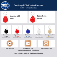 Porte-clés NFC en vrac, 30 mm, RFID, 13,56 MHz, MIFARE(R) DESFire(R), impression de logo personnalisée pour le contrôle d'accès