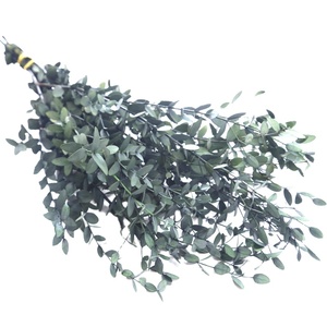 ใบยูคาลิปตัสคุณภาพสูง บาง ทนทาน คงรูปทรงได้นาน สำหรับตกแต่งบ้าน ดอกไม้และพืช - Product Image 4