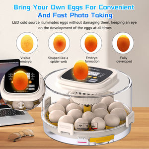 Incubateur automatique personnalisé pour 18 œufs de poule/canard, taux d'éclosion élevé avec équipement de réfrigération et d'échange de chaleur pour animaux de compagnie - Product Image 5