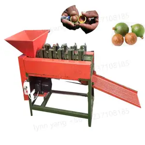 Mesin pengupas kenari hijau harga bagus pengupas penumbuk untuk mesin pengupas proses kacang Macadamia segar hijau