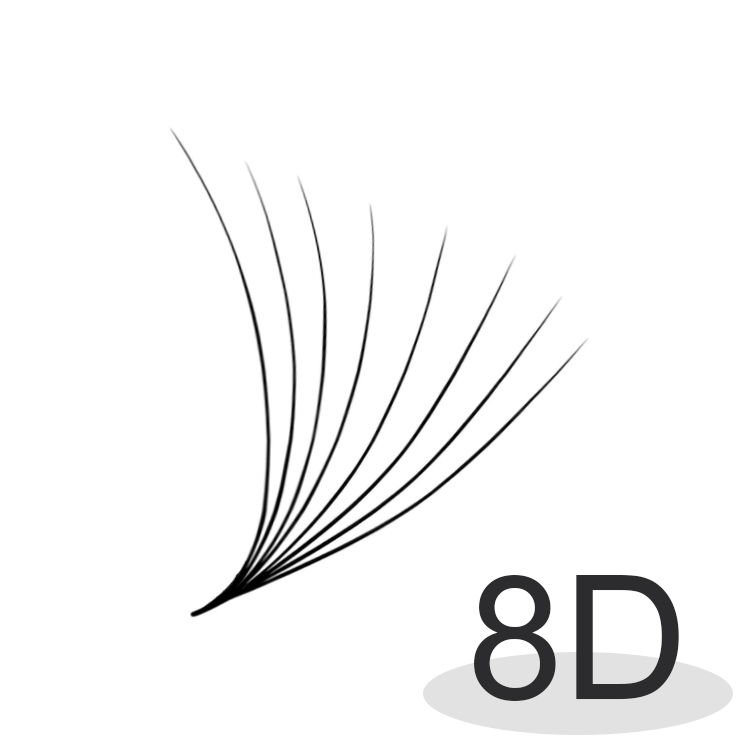 8D