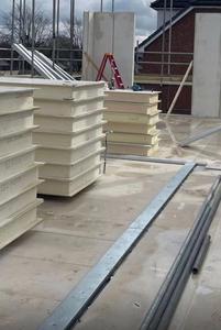 Panel Estructural Aislado MGO con Núcleo de EPS/PU/XPS/<span class=keywords><strong>Neopor</strong></span>, Panel SIP Ligero y de Ahorro Energético para Construcción de Villas - Product Image 4