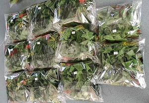 KN-hhb002S <span class=keywords><strong>Hip</strong></span> <span class=keywords><strong>Hei</strong></span> Nhân Tạo Mới Thắt Lưng Polynesia Dây Đeo Hông Bện Tay Đảo Hula Đảo Nấu Ăn - Product Image 5