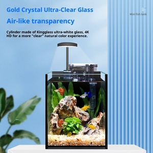 <span class=keywords><strong>Aquarium</strong></span> de bureau moderne en verre écologique, petit paysage aquatique, mini <span class=keywords><strong>aquarium</strong></span> à fond noir, 5,6 L, carré, salon, 220 V - Product Image 2
