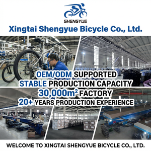 <span class=keywords><strong>Bicicleta</strong></span> de Montaña SY HEBEI de 21 Velocidades, Venta al por Mayor con Envío Gratuito, Cuadro de Acero al Carbono de 20, 24 y 26 Pulgadas, <span class=keywords><strong>Bicicleta</strong></span> MTB para Adultos - Product Image 6