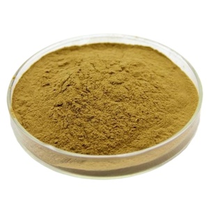 %100 Doğal Isırgan Yaprağı Tozu Besin Takviyeleri İçin Isırgan Yaprağı Ekstresi Tozu %0,8 Silika Tozu - Product Image 2