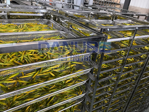 ห้องอบแห้งผักแบบปั๊มความร้อน เครื่องลดความชื้นมะเขือเทศ อุปกรณ์อบแห้งแบบถาด - Product Image 4