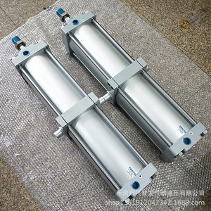 Cilindro Festo DNG, Modelo DNGZK 125 160 100 100 300 500 PPV A, Cilindro Neumático Estándar con Cuerpo de Aluminio - Product Image 2