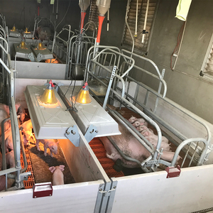 Box de maternité galvanisé pour truies d'élevage avec plancher en fonte - Product Image 3