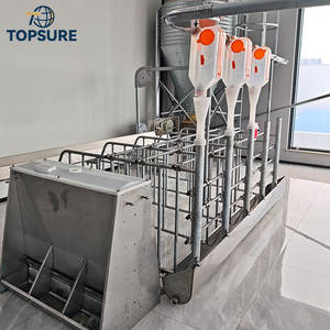 ชุดกรงคลอดสุกรแบบครบชุด ทนทาน ราคาประหยัด สำหรับโปรแกรมการคลอดลูกสุกร - Product Image 3