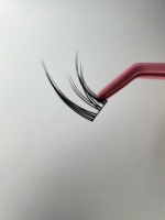 Prix d'usine DIY Extensions de cils individuels synthétiques 3D prédécoupés personnalisés Style naturel avec marque privée
