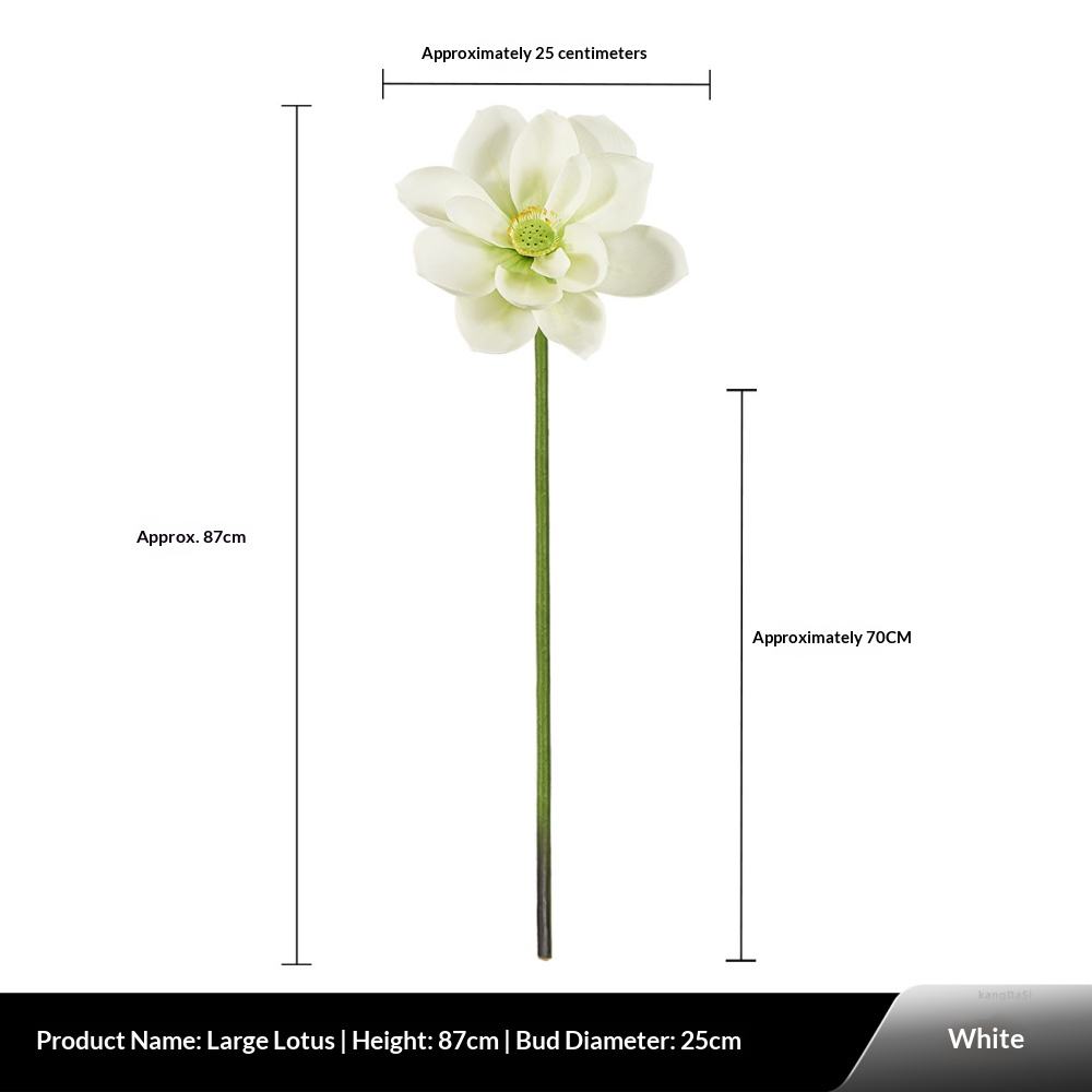 Lotus blanc grand format à coller