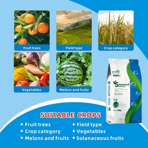 <span class=keywords><strong>Engrais</strong></span> organique à base d'algues marines, <span class=keywords><strong>engrais</strong></span> <span class=keywords><strong>pour</strong></span> plantes en poudre, extrait d'algues marines bleues pures en poudre, poudre fine de haute qualité <span class=keywords><strong>pour</strong></span> les tomates - Product Image 6