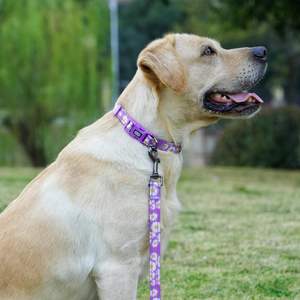 Olahibi-Juego de correa para collar de perro, correa a juego de 5 pies o 150cm, patrón floral, nailon duradero con rayas reflectantes, 4 tamaños para - Product Image 2