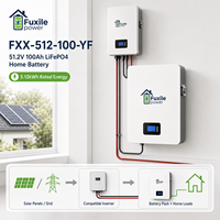 Batería de Almacenamiento de Energía LiFePO4 Integrada en Pared con BMS, 51.2V 100Ah 5.12kWh, 6000 Ciclos, Compatible con Conexión en Paralelo