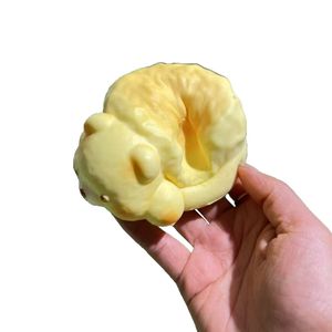 Nuovo Stile Orsetto Morbido a Lenta Risposta, Giocattolo Antistress per Succhiare il Dito, Modello in PU per Giovani e <span class=keywords><strong>Adolescenti</strong></span> - Product Image 5