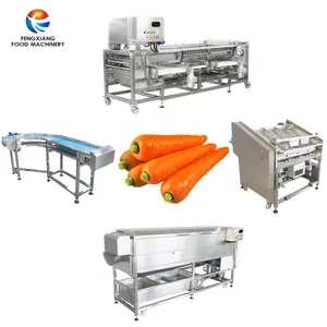 Commersial High Quality304 Carrot peeling food factory Equipment