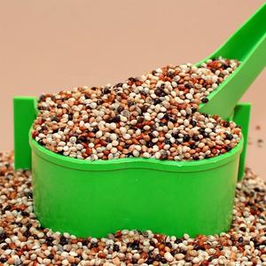 Goedkopere 20KGS /25KGS Vijf-Kleur Gierst Dobbelstenen Kanarie/Papegaai/Liefde Vogel Voedsel Groothandel - Product Image 5