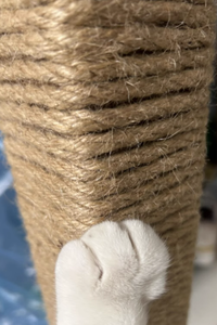 <span class=keywords><strong>Corde</strong></span> en <span class=keywords><strong>sisal</strong></span> naturel 6mm 8mm <span class=keywords><strong>10mm</strong></span>, couleurs variées, écologique, pour remplacement de griffoirs et meubles d'arbre à <span class=keywords><strong>chat</strong></span> VILAGE - Product Image 4