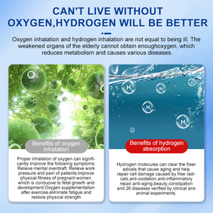 מחמצן pem 1500 מ "ל מחלף הידרוגן נייד 2250 מ" ל מכונת שאיפת חמצן 3000 מ "ל מכונת מימן מולקולרי - Product Image 4