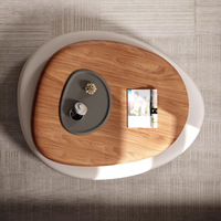 Table basse moderne en bois rotative avec miroir, écologique, durable, pour salon, meubles de maison