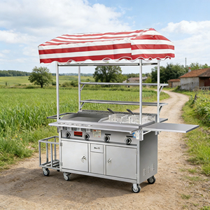 Carrito de Comida Convertible de 4 Ruedas de Acero Inoxidable Resistente a la Oxidación con Parrilla y Calentador Incorporado, Fácil de Montar para Uso en Exteriores - Product Image 3