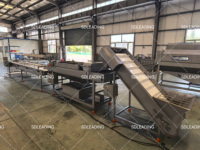Dadelprocessiemachines, dadelpalm polijst- en zeefmachine, palmvrucht sorteer- en sorteermachine, dadelproductielijn
