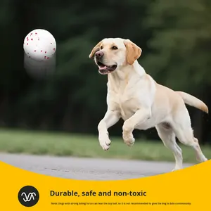 KINYU <span class=keywords><strong>Dog</strong></span> <span class=keywords><strong>Toy</strong></span> <span class=keywords><strong>Ball</strong></span> 2025 Nova Pipoca ETPU Eco-friendly Exercício Brinquedo Interativo para Cães Moderno Clássico Design Ansiedade Alívio - Product Image 3