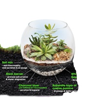 Kit de démarrage Eco Recycle Terrarium Coco Coir Tourbe Mousse Écorce De Pin Perlite Pumice Mesh Barrière Outils Guide Livre DIY