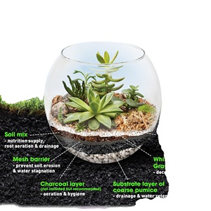 Eco Recycle Terrarium Starter Kit Coco cocco torba muschio di pino corteccia Perlite maglia pomice barriera cura strumenti guida <span class=keywords><strong>libro</strong></span> - Product Image 2