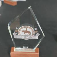 Trophée en verre cristal vierge en gros avec base en bois, directement de l'usine, gravable au laser, imprimable UV, cadeaux promotionnels pour salons professionnels