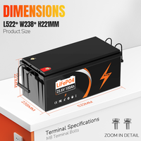 Livraison gratuite dans l'UE, batterie lithium rechargeable 25,6 V 24 V 100 Ah, BMS 100 A, batterie LiFePO4 sans chargeur