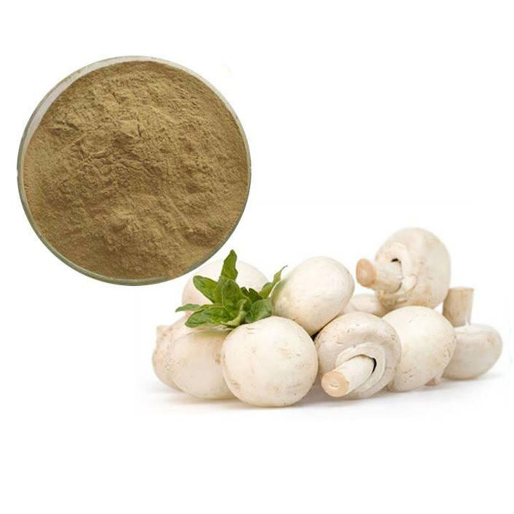 Organic White Mushrooms - Dried, Cultivated, and Certified