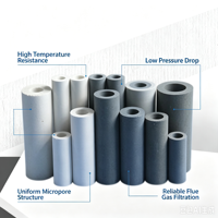 Élément filtrant de sonde d'échantillonnage CEMS en céramique/titane fritté plat |   Filtre à poussière pour gaz de combustion Garantie 12 mois OEM/ODM
