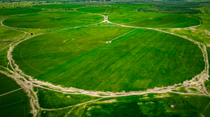 Rekabetçi Fiyatlı Pointer Tipi Yağmurlama Sulama Makinesi - Product Image 4