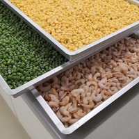 Machine de lyophilisation de pois verts, lyophilisateur de pois verts