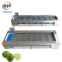 KH Commerciële Automatische Ecologische Fruit-, Groente- en Notengrootte Sorteermachine met 1 Jaar Garantie 220V/380V
