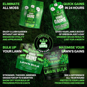 Gazon Premium à Croissance Rapide, Sachet de 1KG, Ryegrass Perennial/Fescue Rouge Grimpante, Traitement Headstart Gold pour Pots de Fleurs et Jardinières - Product Image 6