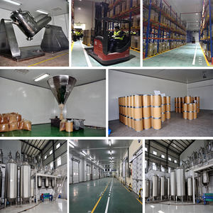 B.C.I menyediakan ekstrak pulpen kualitas tinggi ekstrak daun jelatang organik - Product Image 6