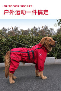 Vente chaude été imperméable pour animaux <span class=keywords><strong>de</strong></span> compagnie veste <span class=keywords><strong>en</strong></span> polyester imperméable pour chiens et chats Style classique avec vêtements réglables - Product Image 2