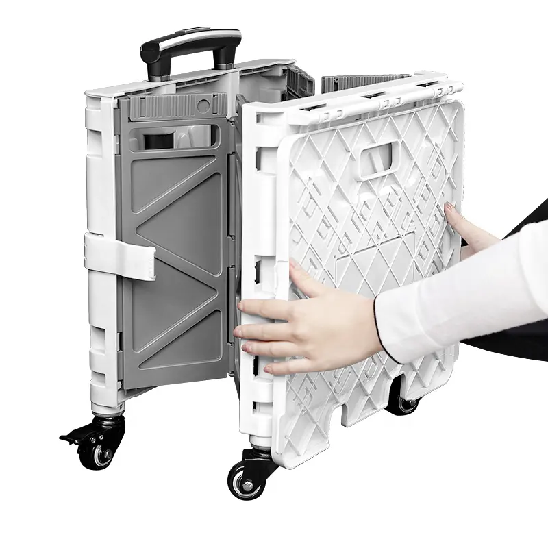 Anjuny Multipurpose Trolley Case Plastic Draw-Bar Box Folding Hand Trolley Cart