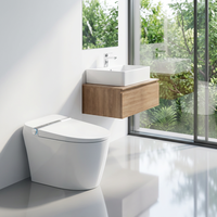 WC intelligent de luxe à chauffage électrique, sans réservoir, autonettoyant, à poser au sol, toilettes intelligentes