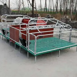 Home Use Pig Farm Equipment Animal Cages for Pig Care and Management