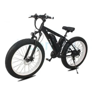 New 350W Powerful Front Suspension Electric Cycle Mountain Bike 36V 10ah Fat Tire Bicycle Electric Snow Bike Ebike