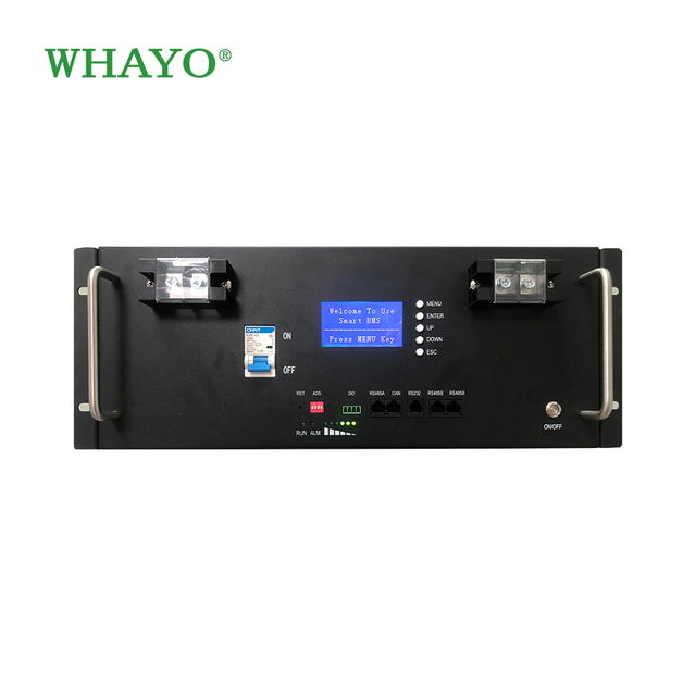 24V 48V 50Ah 100ah 200Ah 300Ah LiFePO4 LFP Lithium Ion Iron Phosphate Battery Rack Mounted Energy Storage Battery Pack
