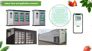 Nuova Serra Agricola Commerciale in PP+PVC+ABS con Sistema Idroponico Completamente Automatizzato, Pompa e Luci LED per la Crescita di Piante da Interno - Product Image 3