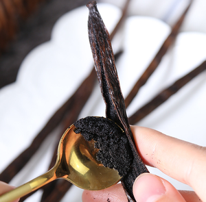 Venda quente Premium Top Grade Baunilha Feijão Gourmet Orgânico Preto Madagascar Feijão De Baunilha Melhor Grau - Product Image 6